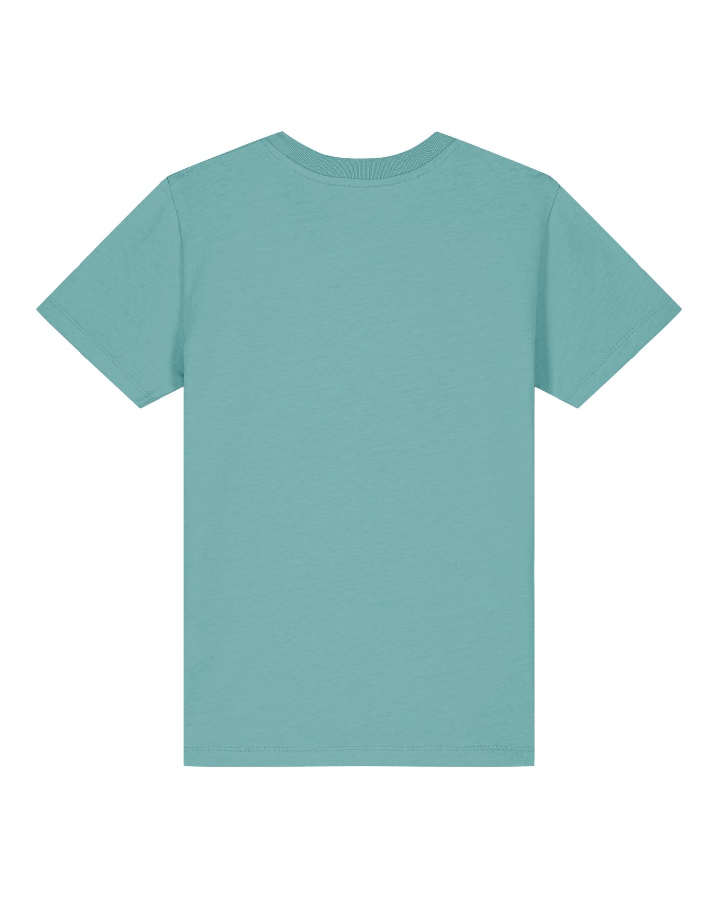 Teal Monstera - C060