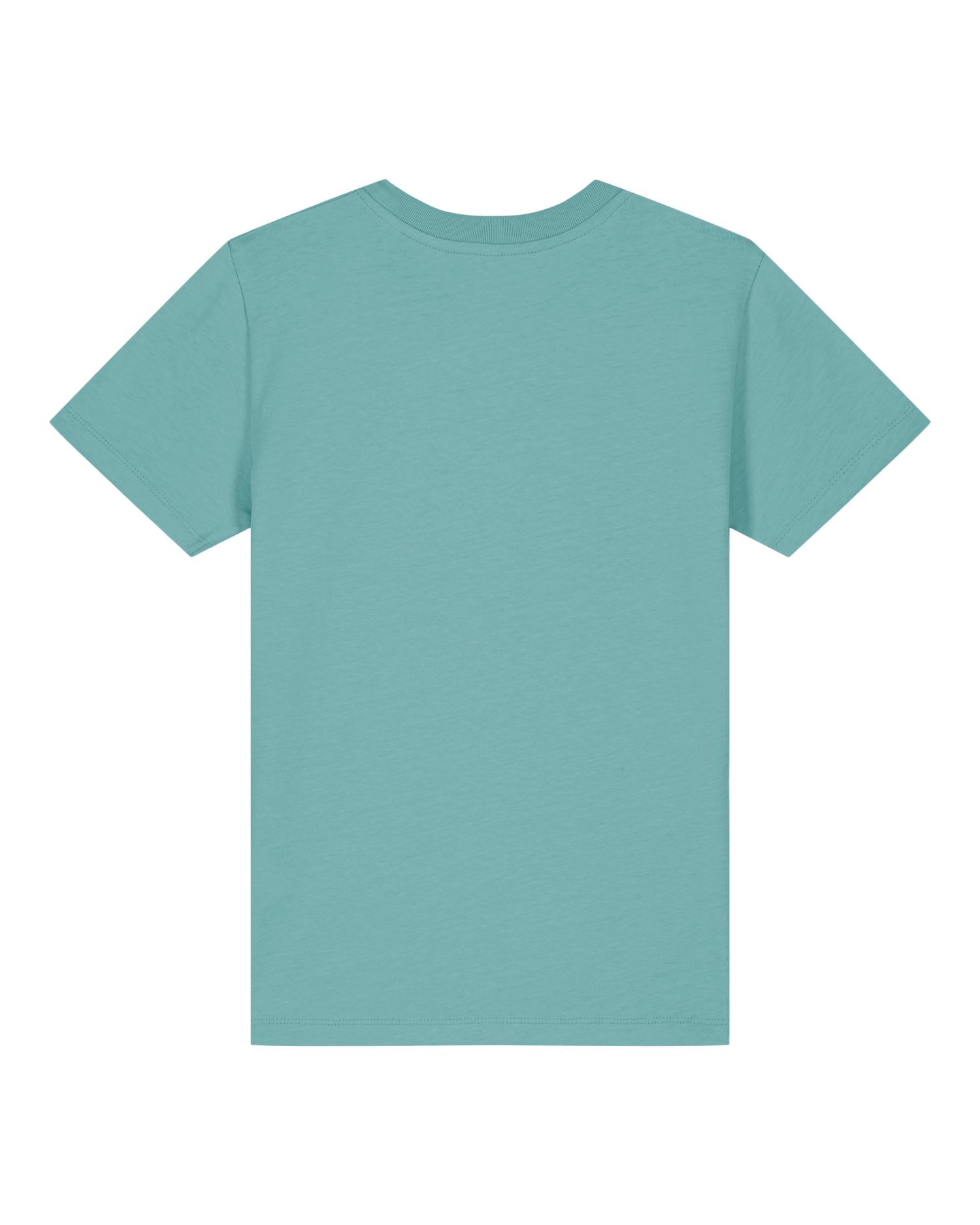 Teal Monstera - C060