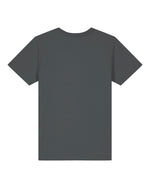 Anthracite - C253