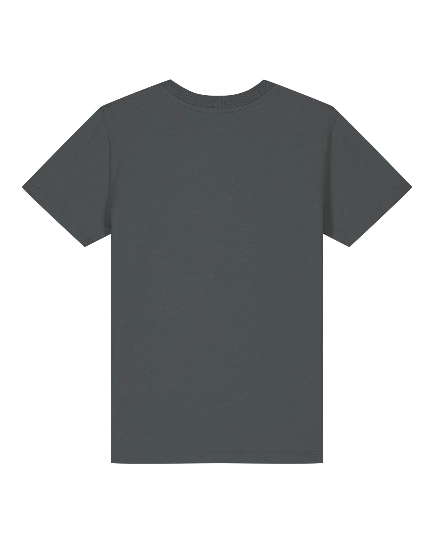 Anthracite - C253