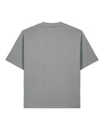 Misty Grey - C138