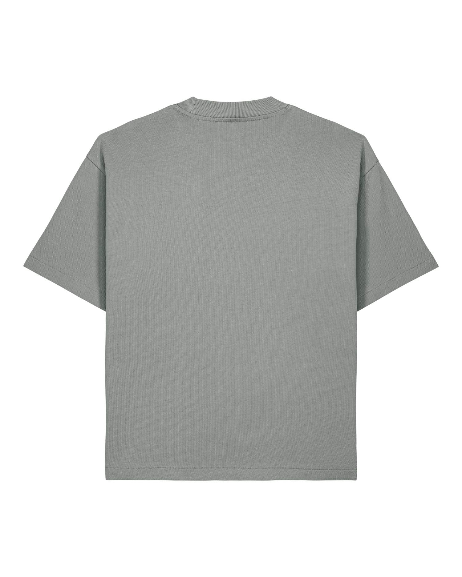 Misty Grey - C138