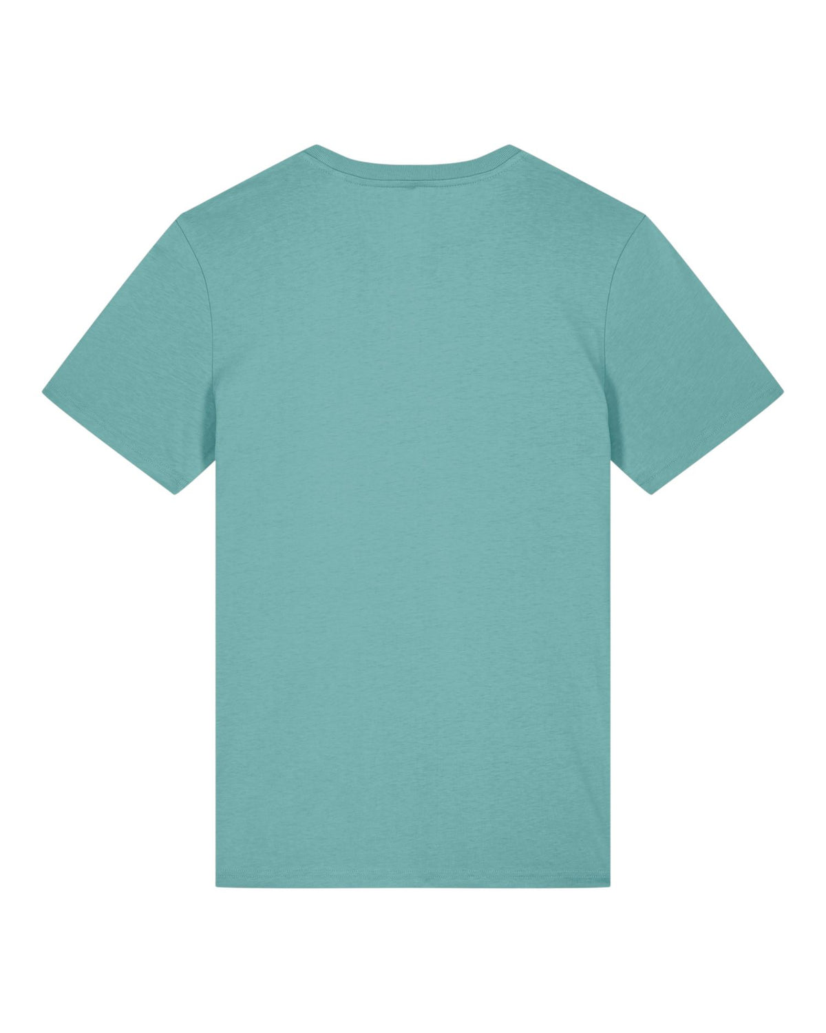 Teal Monstera - C060