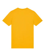Spectra Yellow - C204