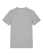 Heather Grey - C250