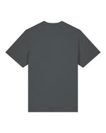 Anthracite - C253