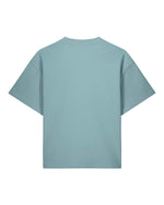 Pebble Blue - C173