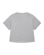 Heather Grey - C250