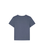 Blue Grey - C156