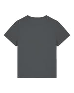 Anthracite - C253
