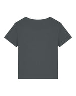 Anthracite - C253
