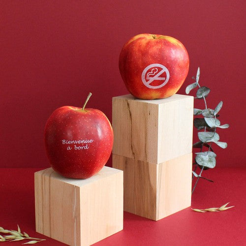 PF10_Pomme-Publicitaire_4184-id374-fev26.jpg