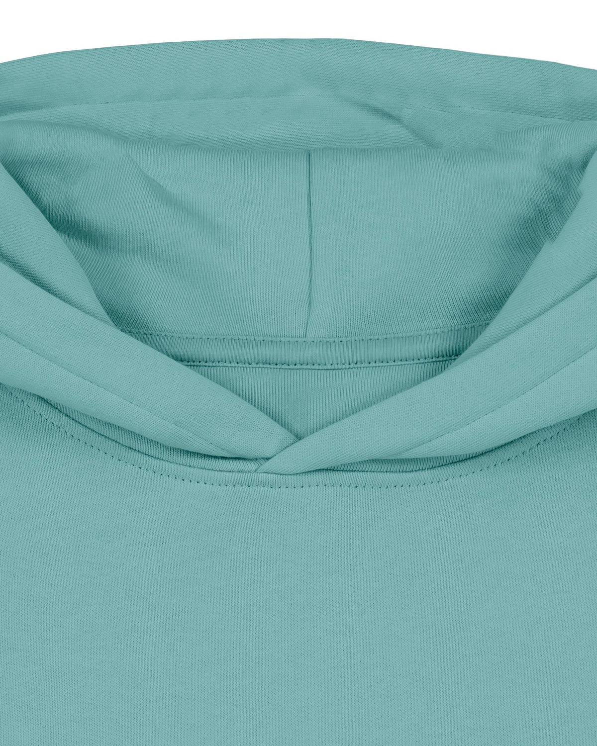 Teal Monstera - C060