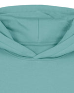 Teal Monstera - C060