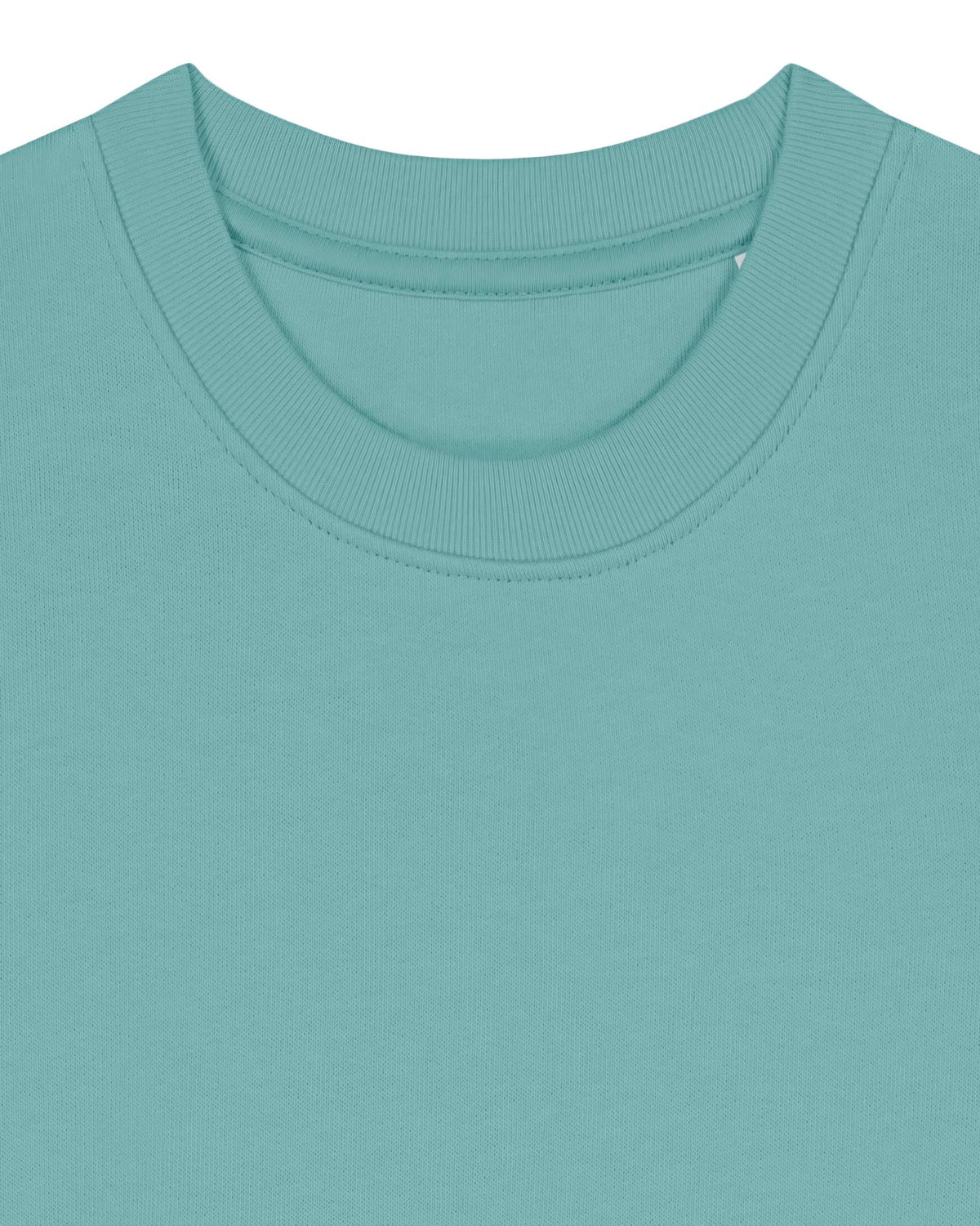 Teal Monstera - C060