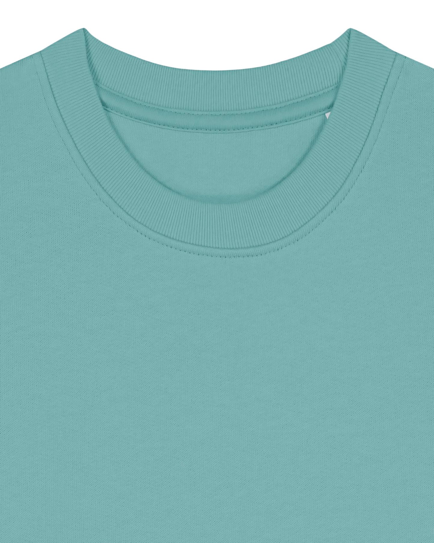 Teal Monstera - C060