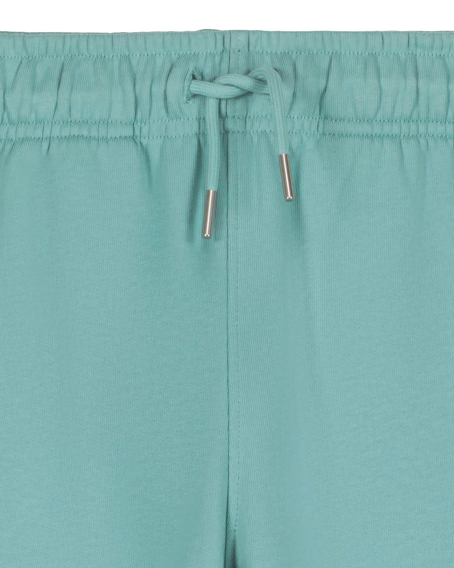 Teal Monstera - C060