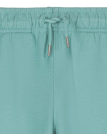 Teal Monstera - C060
