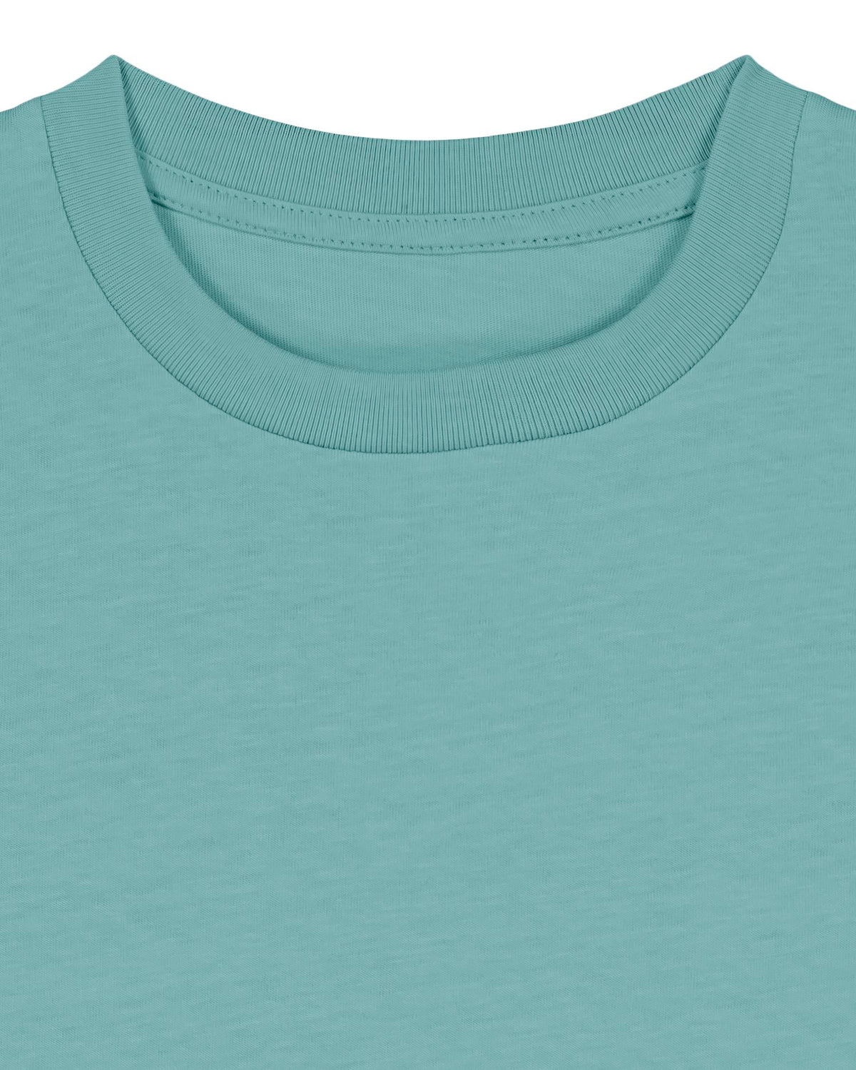 Teal Monstera - C060
