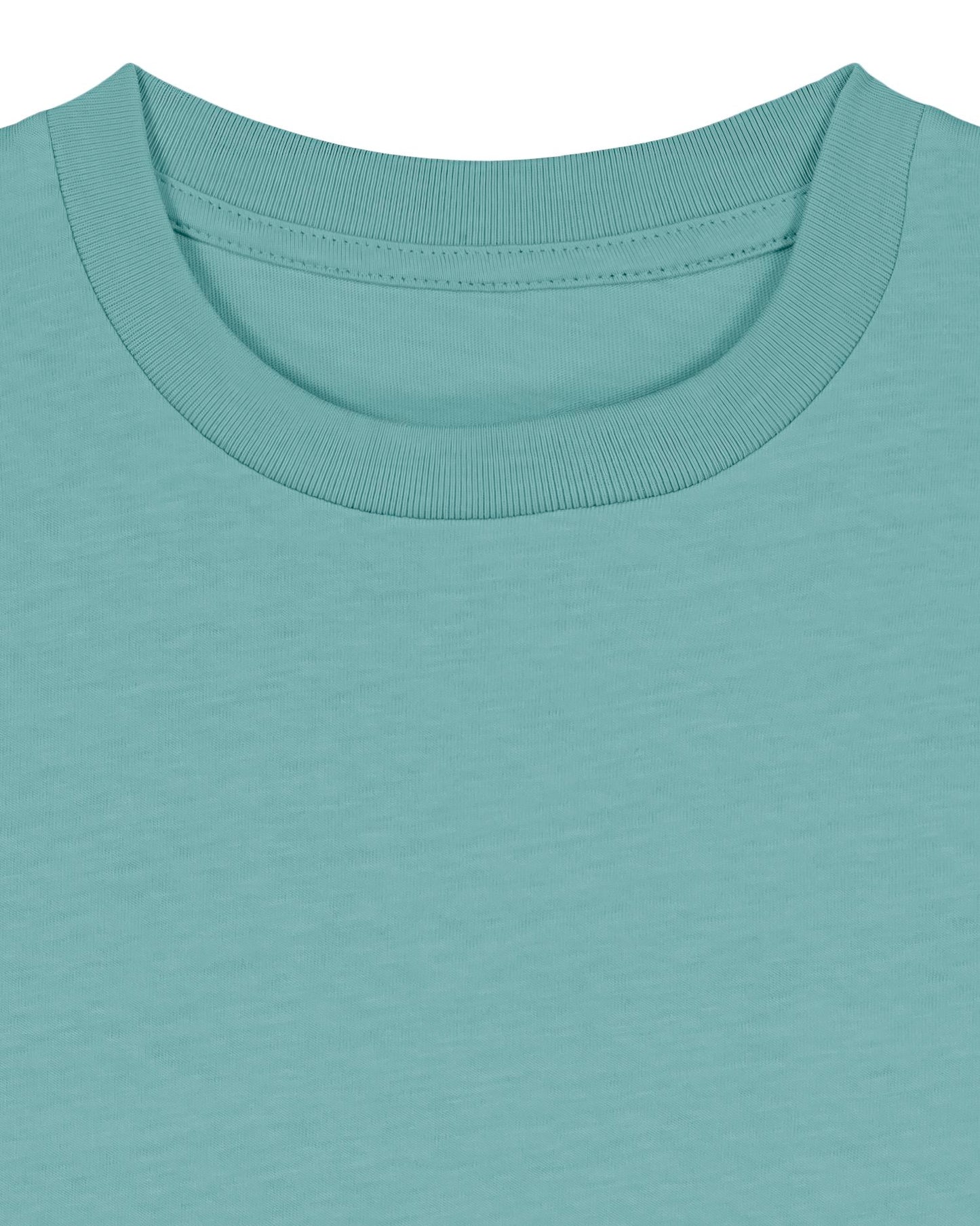 Teal Monstera - C060