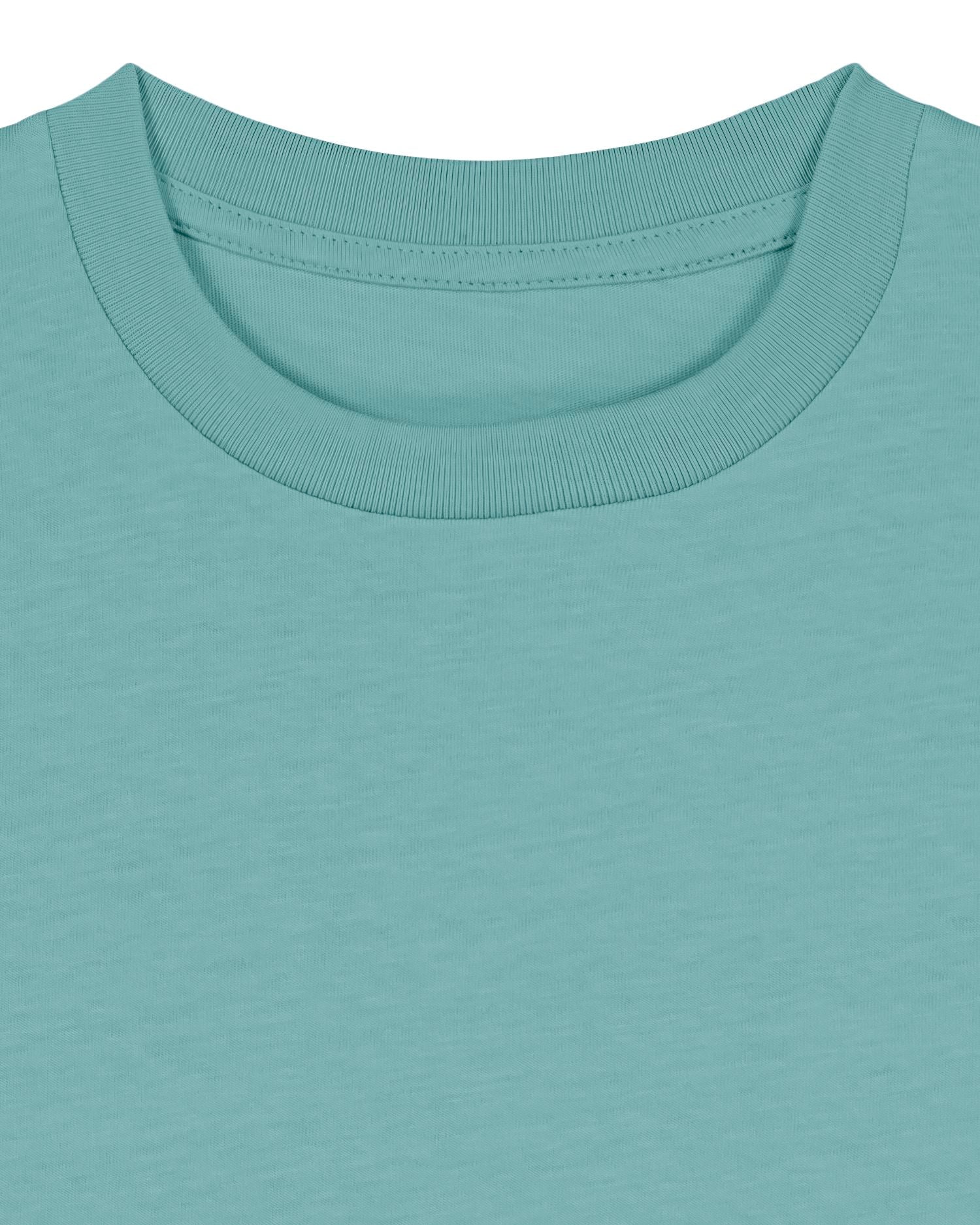 Teal Monstera - C060