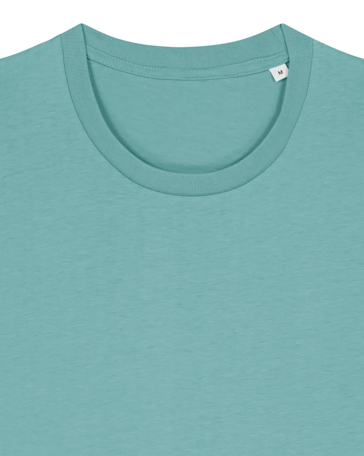 Teal Monstera - C060