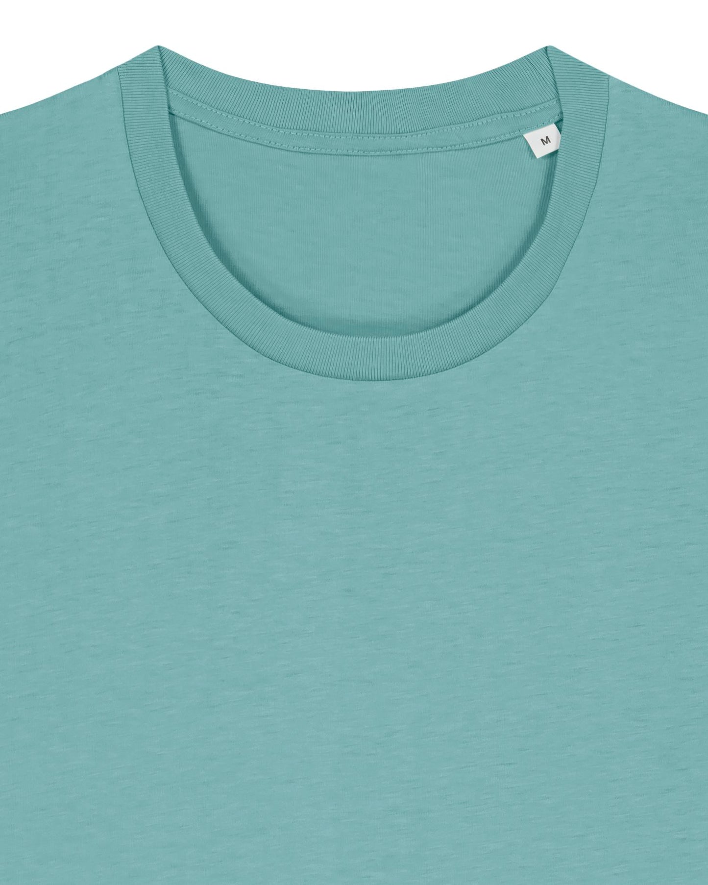 Teal Monstera - C060