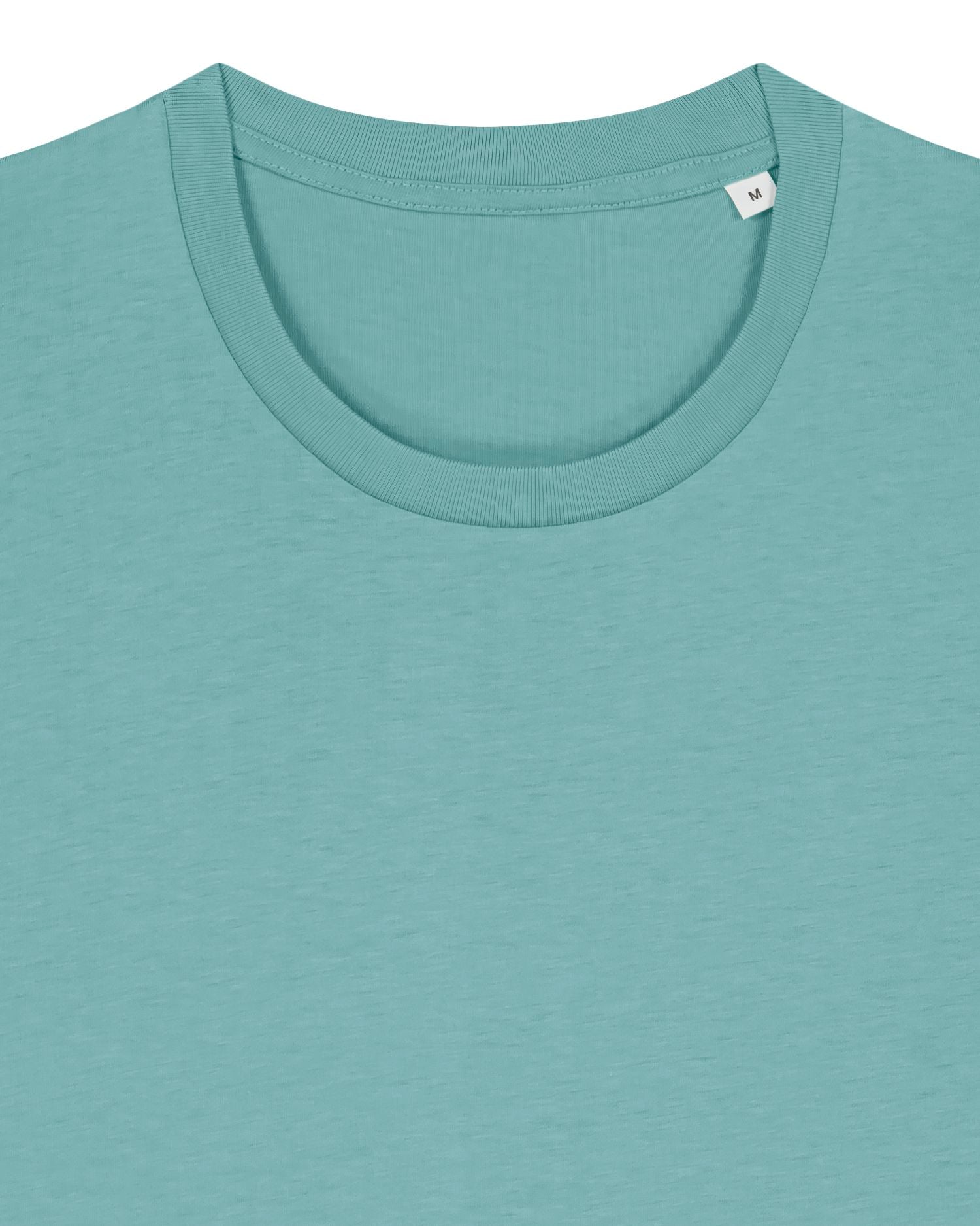 Teal Monstera - C060