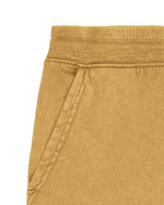 G. Dyed Gold Ochre - C141