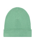 Dusty Mint - C066