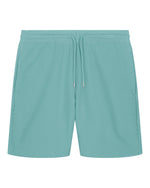 Teal Monstera - C060