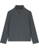 Anthracite - C253