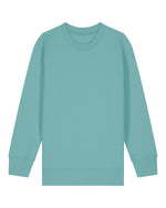 Teal Monstera - C060