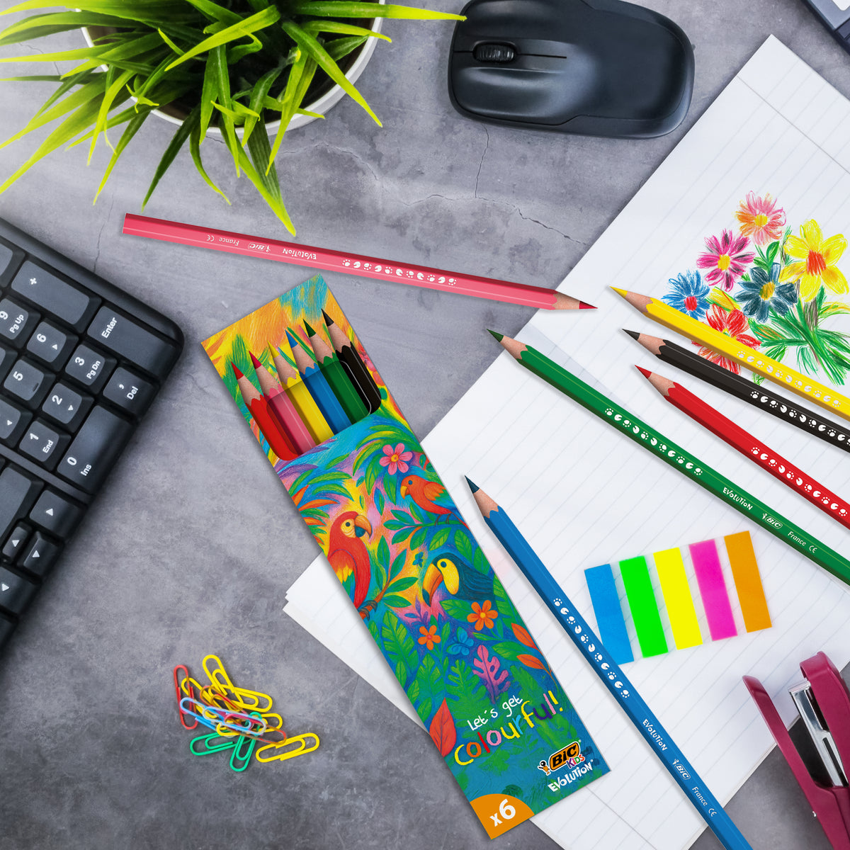 Set de 6 crayons de couleurs