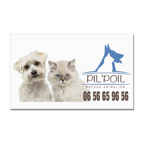 PK01N---------QV11-id360-fev26.jpg