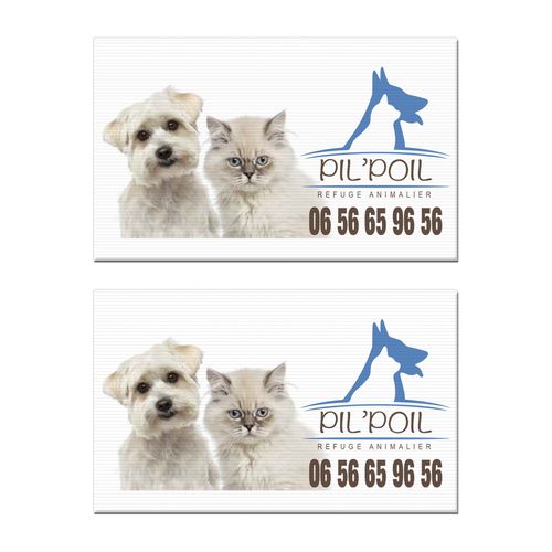 PK01N---------QV12-id360-fev26.jpg