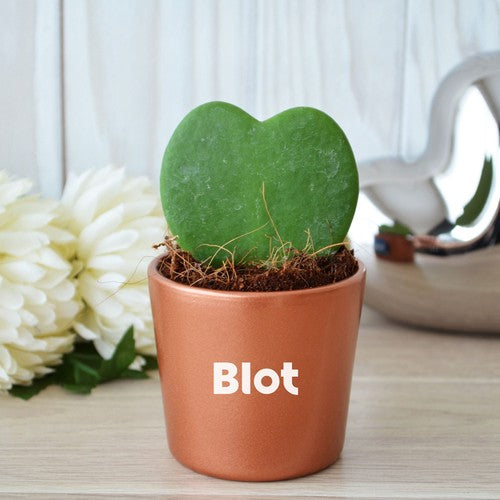 PL11---blot_BD-id374-fev26.jpg