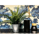 PLR000772_INSITU-id340-jan26.jpg