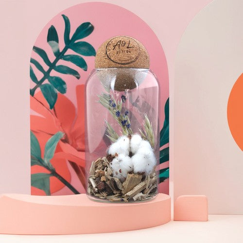 PS04-Terrarium-boule-liege-packshot-carre_BD-id374-fev26.jpg