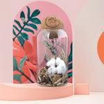 PS04-Terrarium-boule-liege-packshot-carre_BD-id374-fev26.jpg