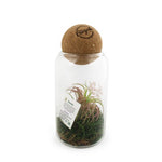 PS05_mousse_exemple_1-id374-fev26.jpg