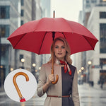 Parapluie_standard_FARE__2_FP3310_CYBER26.jpg