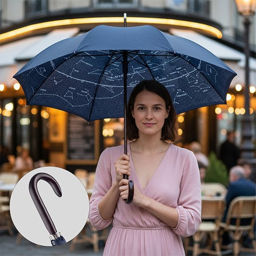 Parapluie_standard_FARE__2_FP3330A_CYBER26.jpg