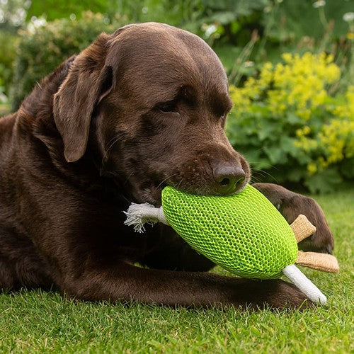 Peluche_monstre_pour_chien_MBW___M170031_CYBER26.jpg