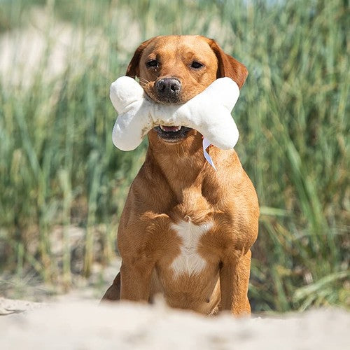 Peluche_os_pour_chien_MBW___M170008_CYBER26.jpg