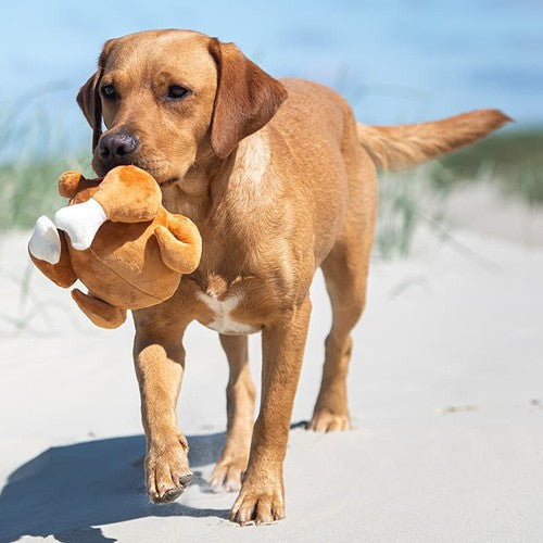Peluche_poulet_pour_chien_MBW___M170006_CYBER26.jpg