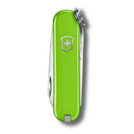 SAK_0-6223-43_S2-id668-avr25.jpg