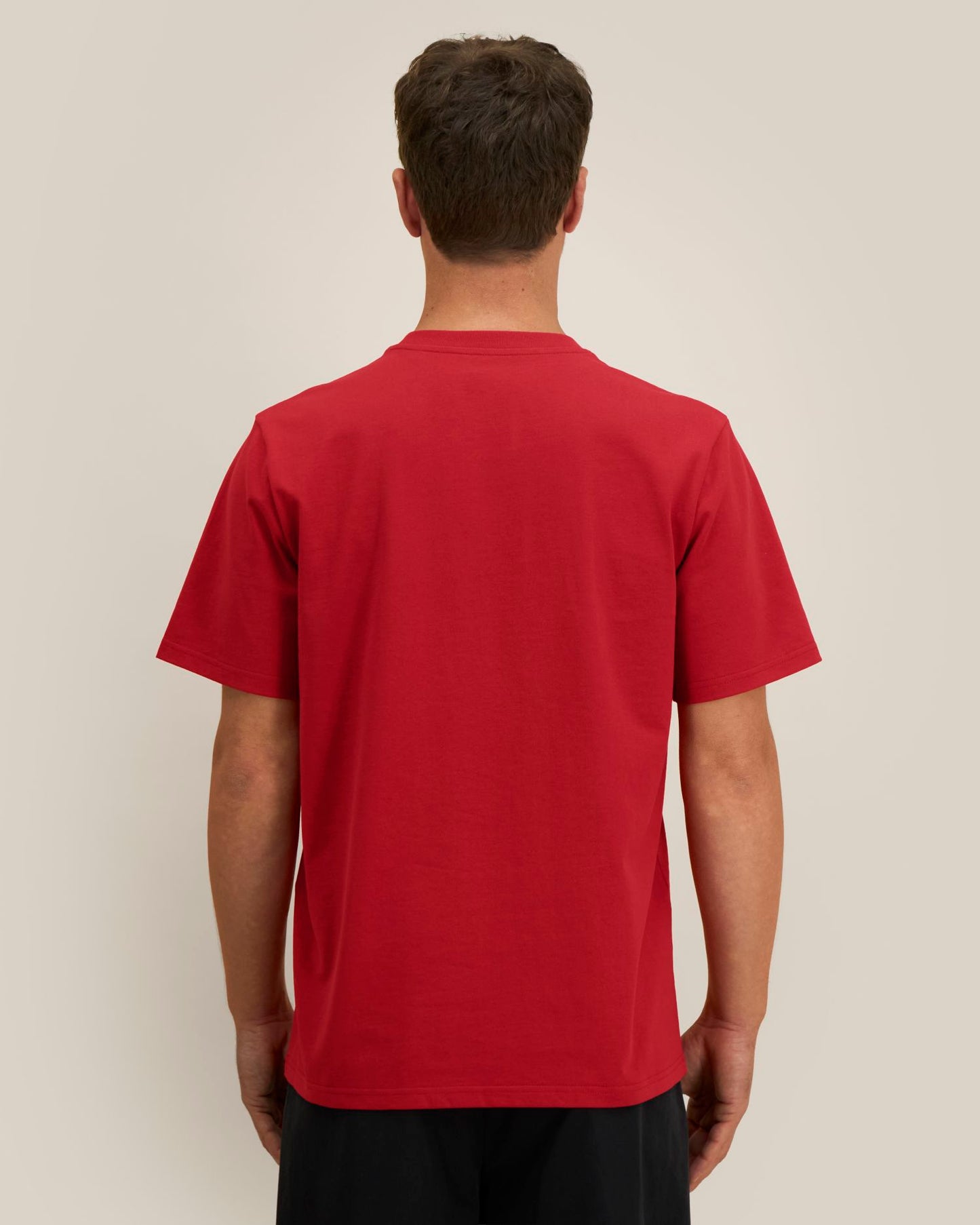 Passionate Red - C172