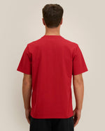 Passionate Red - C172