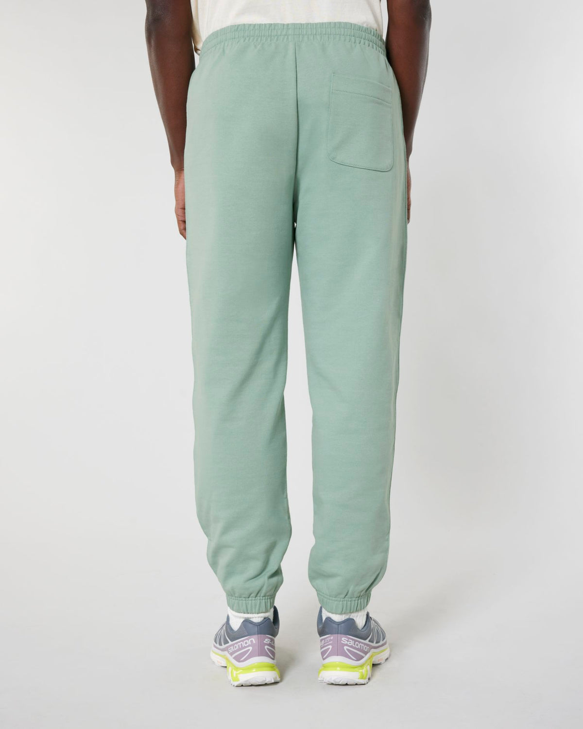 Aloe - C089